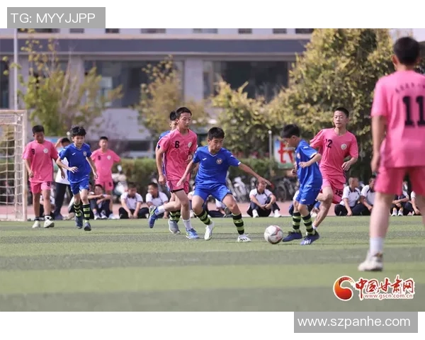 李秀英的足球之路:从绿茵场到人生的启示与反思