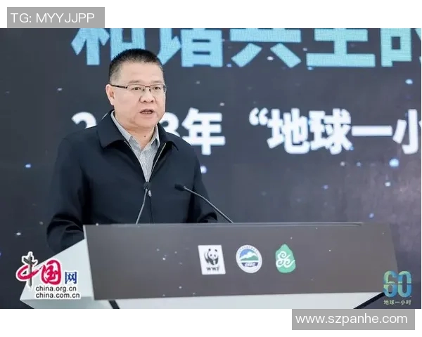 武汉飞盘队运营分析：成功经验与面临挑战的全面探讨