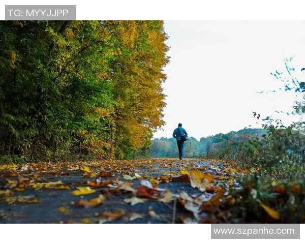 步行者视角：探索城市步行空间设计与步态行为的创新融合