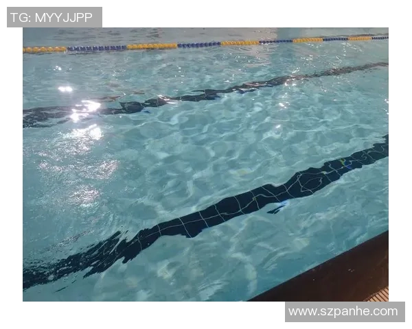 游泳对身体健康的全面益处及其在促进心肺功能、肌肉力量与心理健康中的关键作用